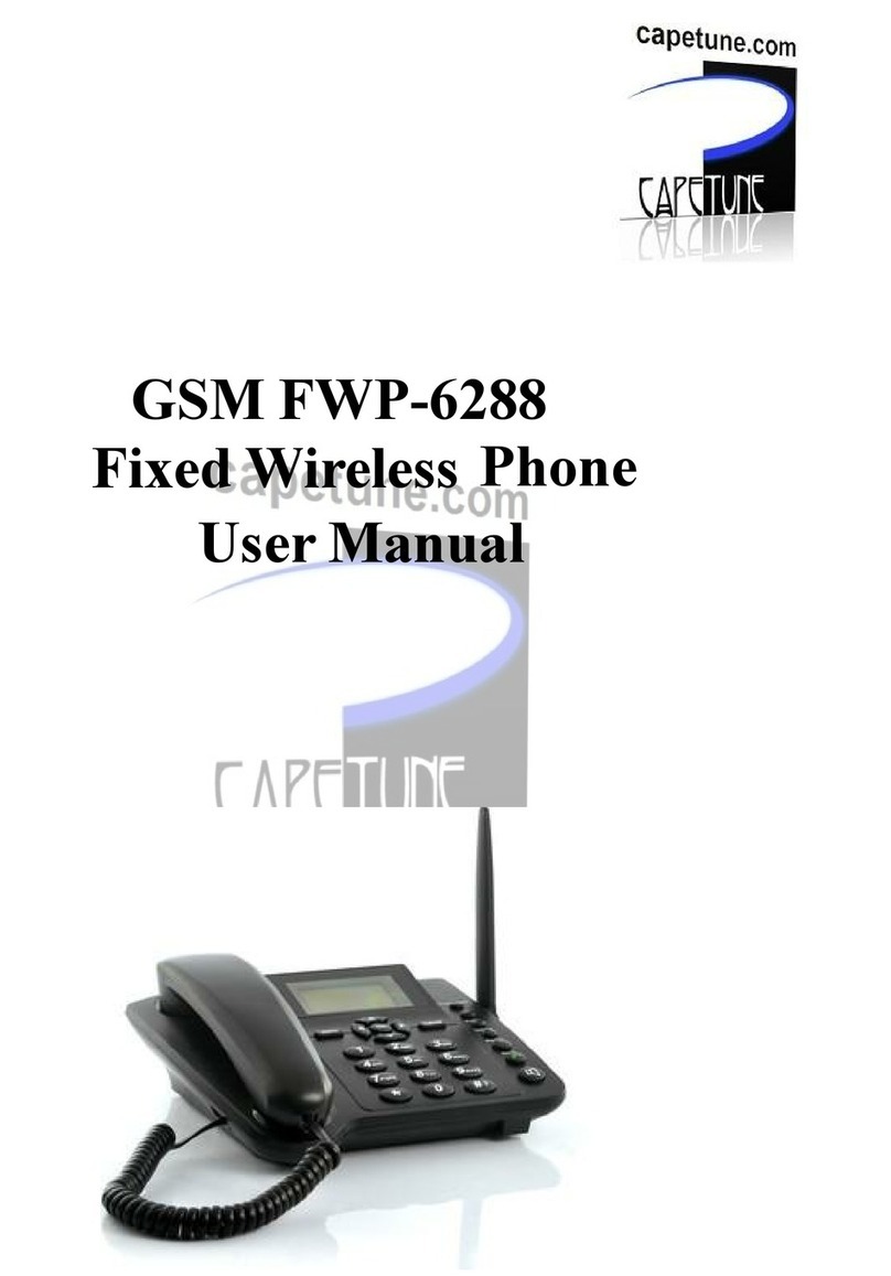 Capetune GSM FWP-6288 user manual