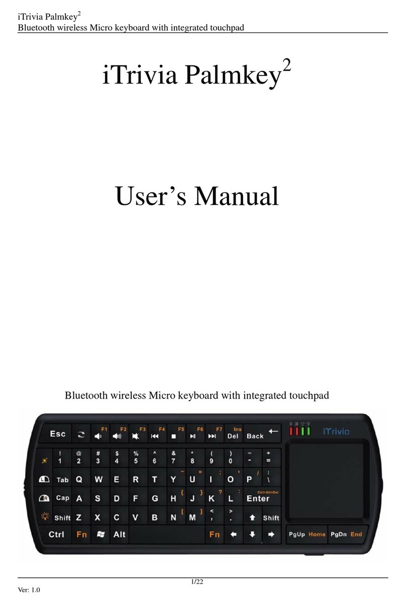 iTrivia Palmkey2 User manual