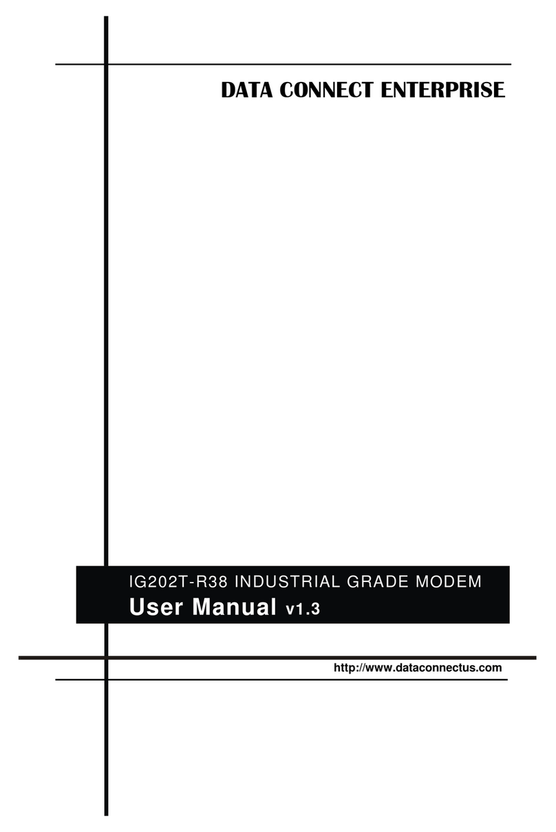 Data Connect IG202T-R38 user manual