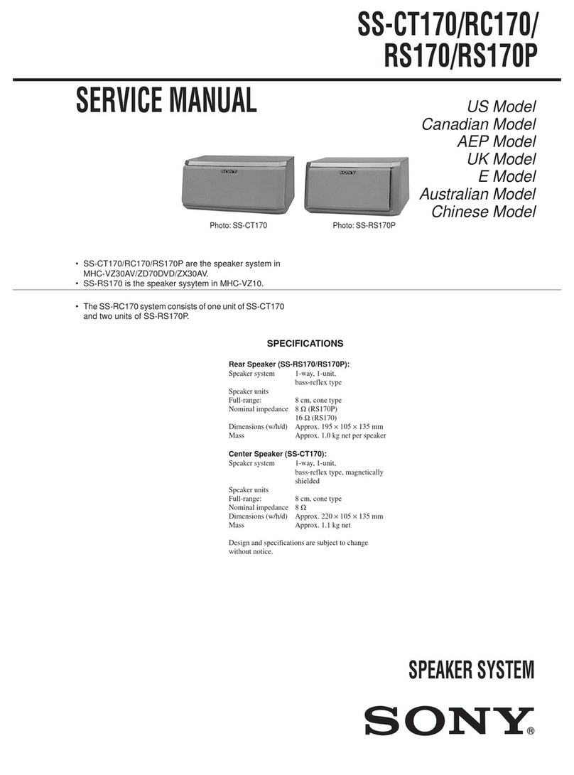 Sony SS-CT170 User manual