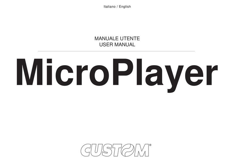 Custom Audio Electronics MicroPlayer user manual