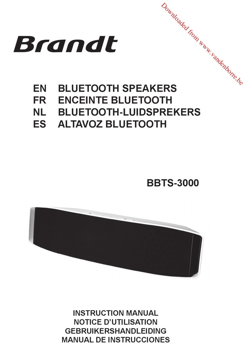 Brandt BBTS-3000 instruction manual