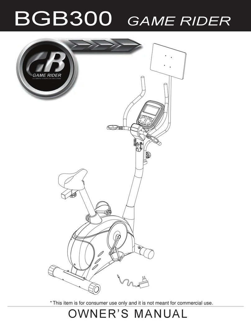 GB BGB300 User manual