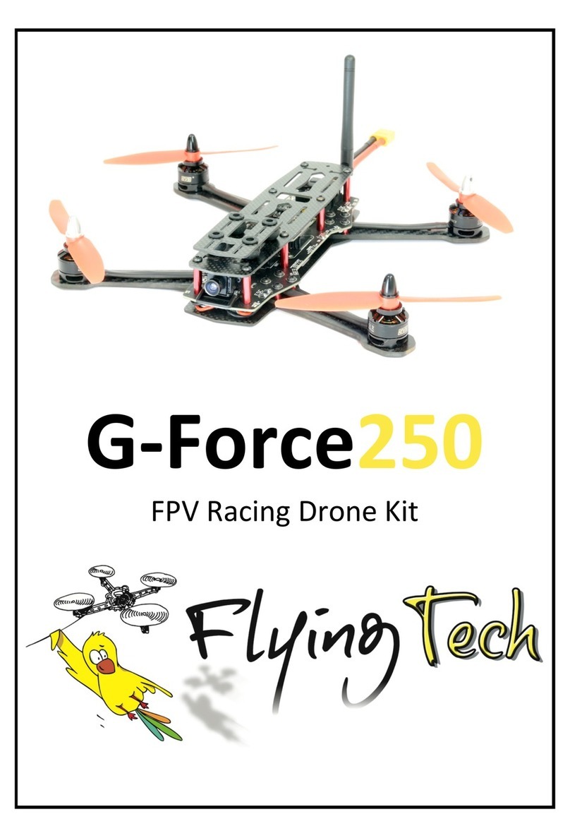 Flying Tech G-Force250 Operation manual