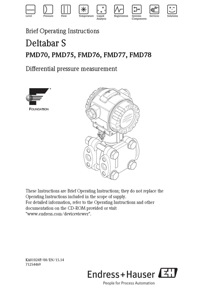 Endress+Hauser Deltabar S PMD70 User manual