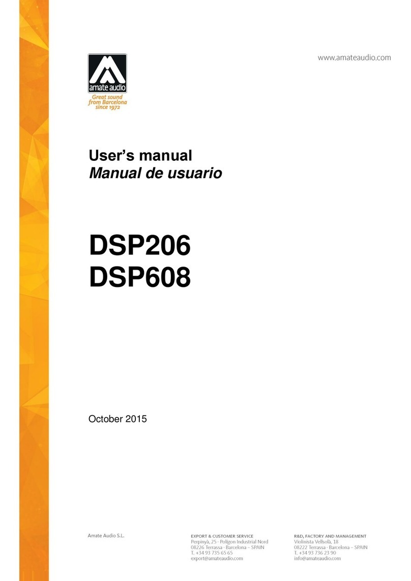 Amate Audio DSP206 User manual