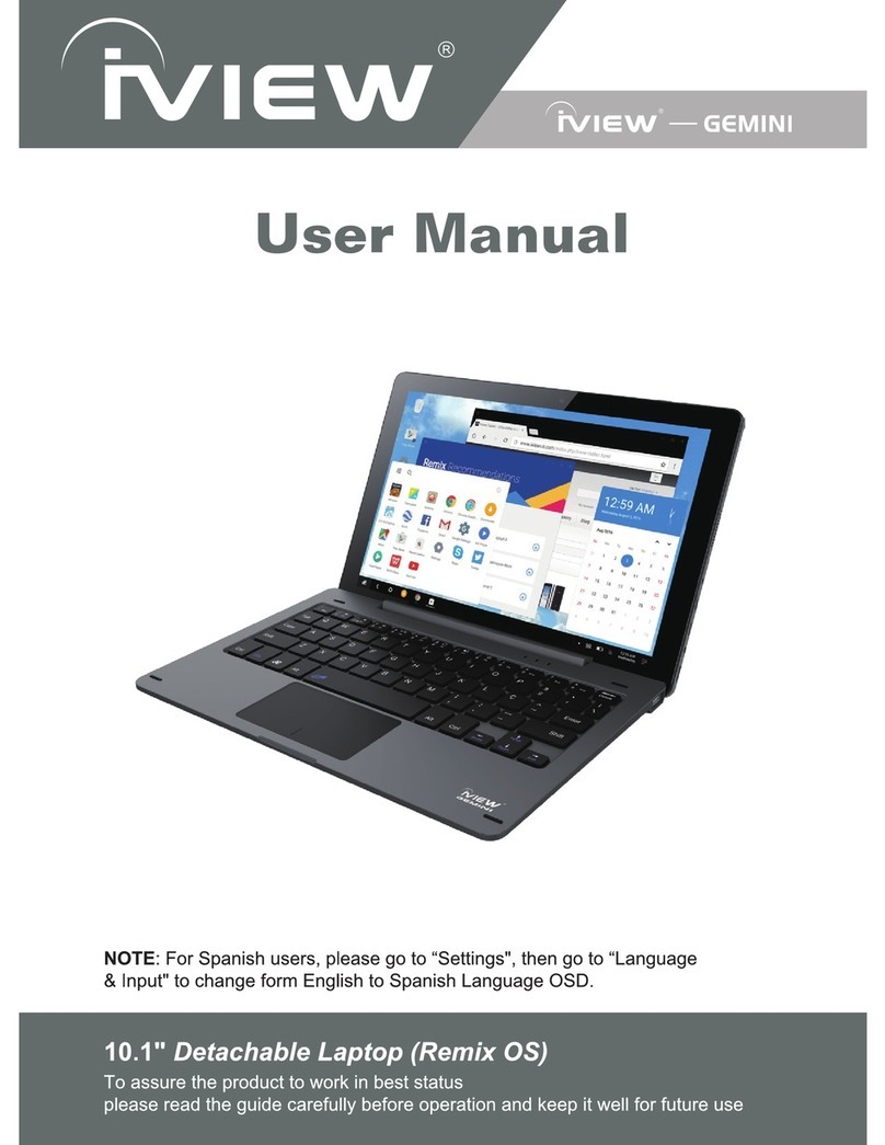 I-View GEMINI user manual
