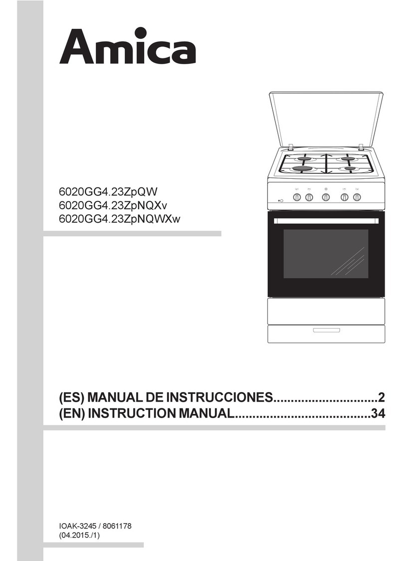 Amica 6020GG4.23ZpQW instruction manual