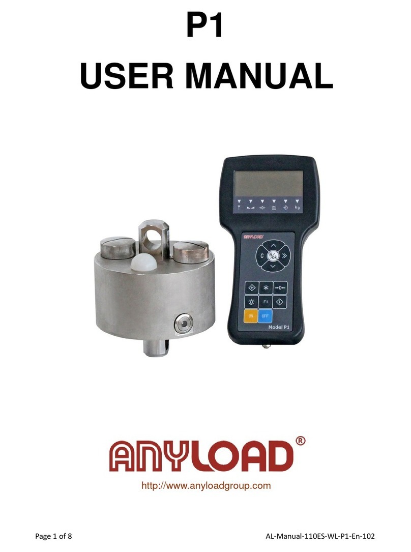 AnyLoadg P1 user manual