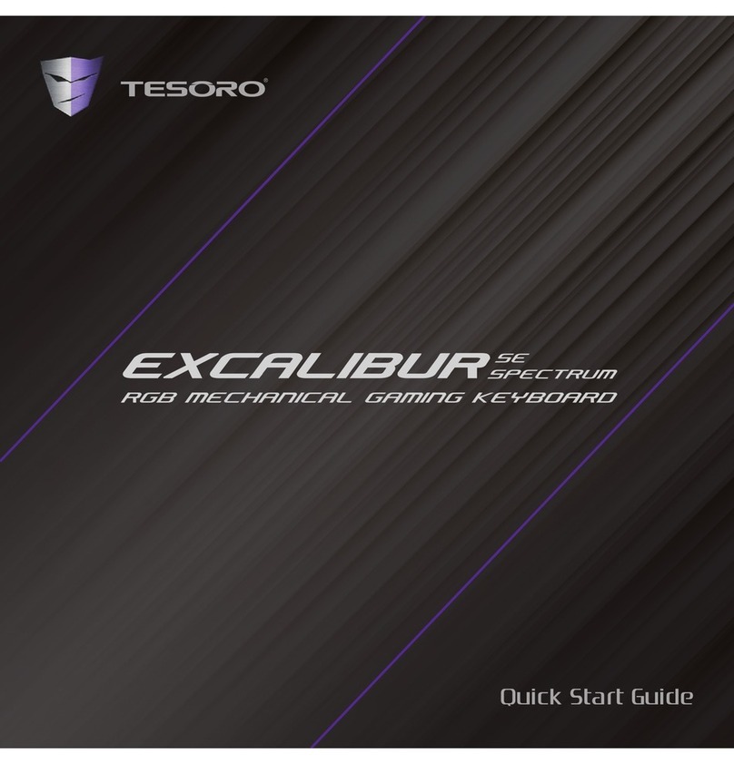 Tesoro EXCALIBUR SE quick start guide