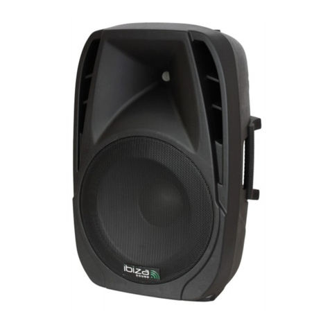 Ibiza sound BT12A user manual