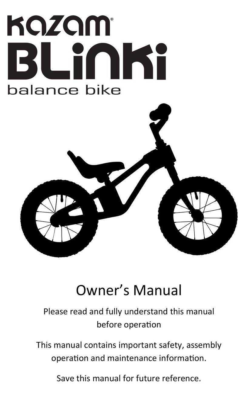 KaZAM blinki User manual