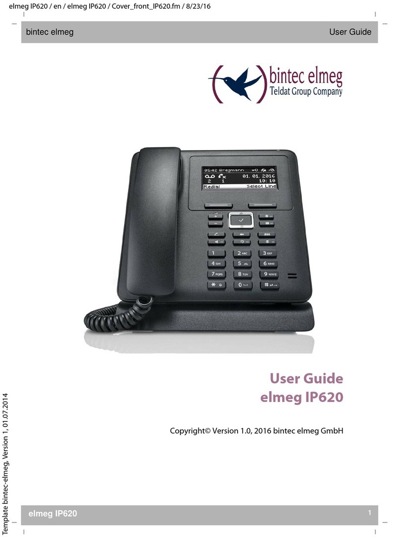 BinTec elmeg IP620 user guide