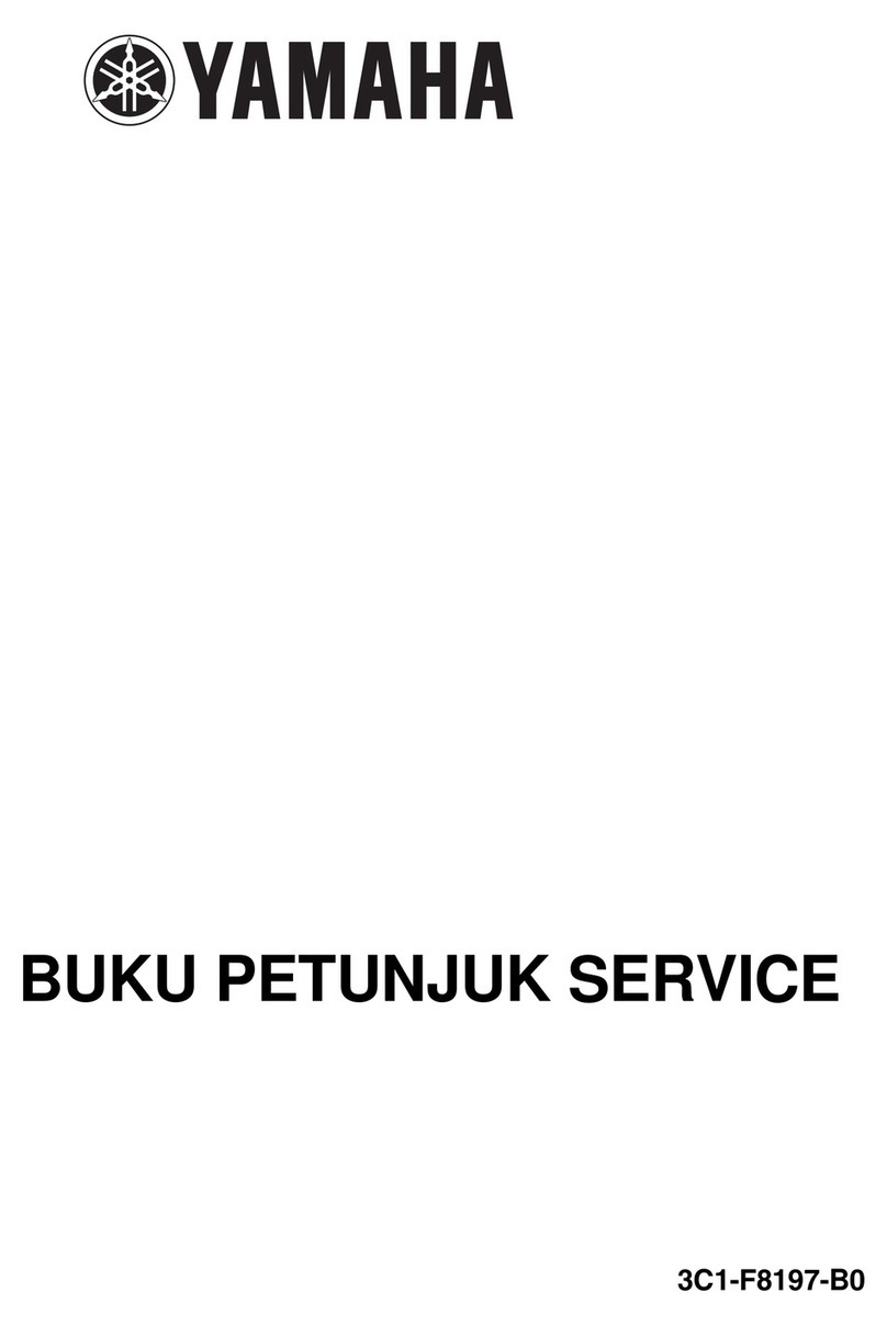 Yamaha V-IXION User manual