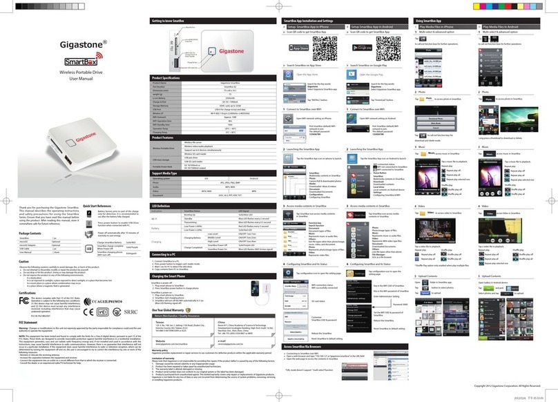 Gigastone dane elec media streamer User manual