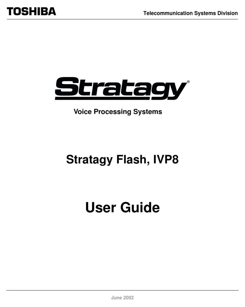 Toshiba Stratagy IVP8 user guide
