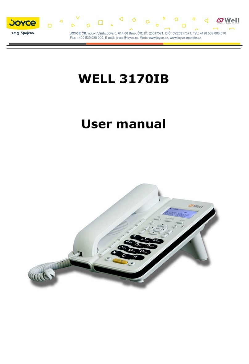 JOYCE WELL 3170IB user manual