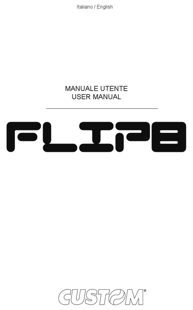 Custom Audio Electronics flipo User manual Custom Audio Electronics flipo User manual