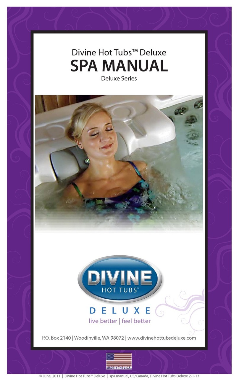 Divine DL-1040 DLX User manual