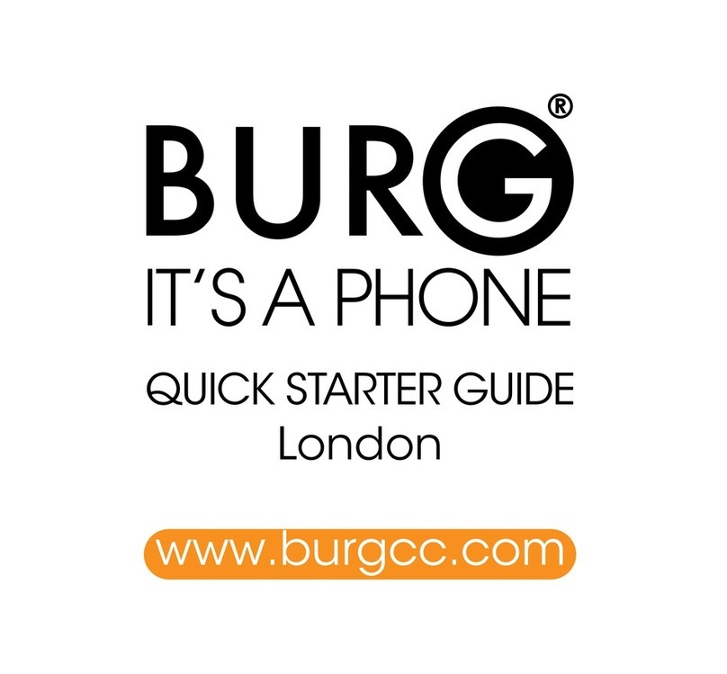 Burg 12 quick start guide