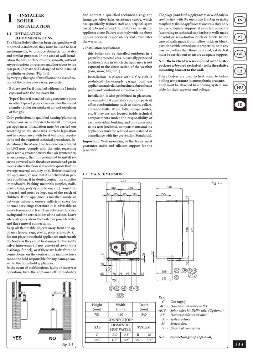 Immergas Maior Eolo 24 4E User manual