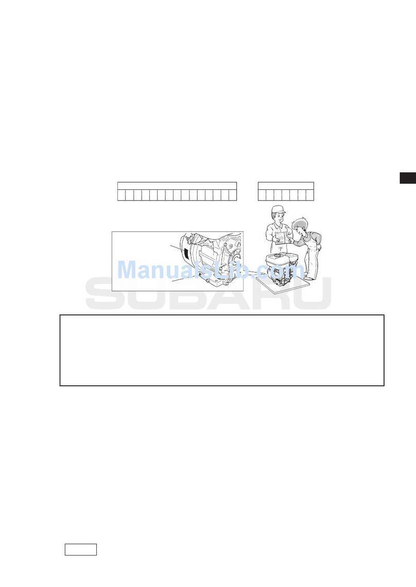 Robin EX13D User manual