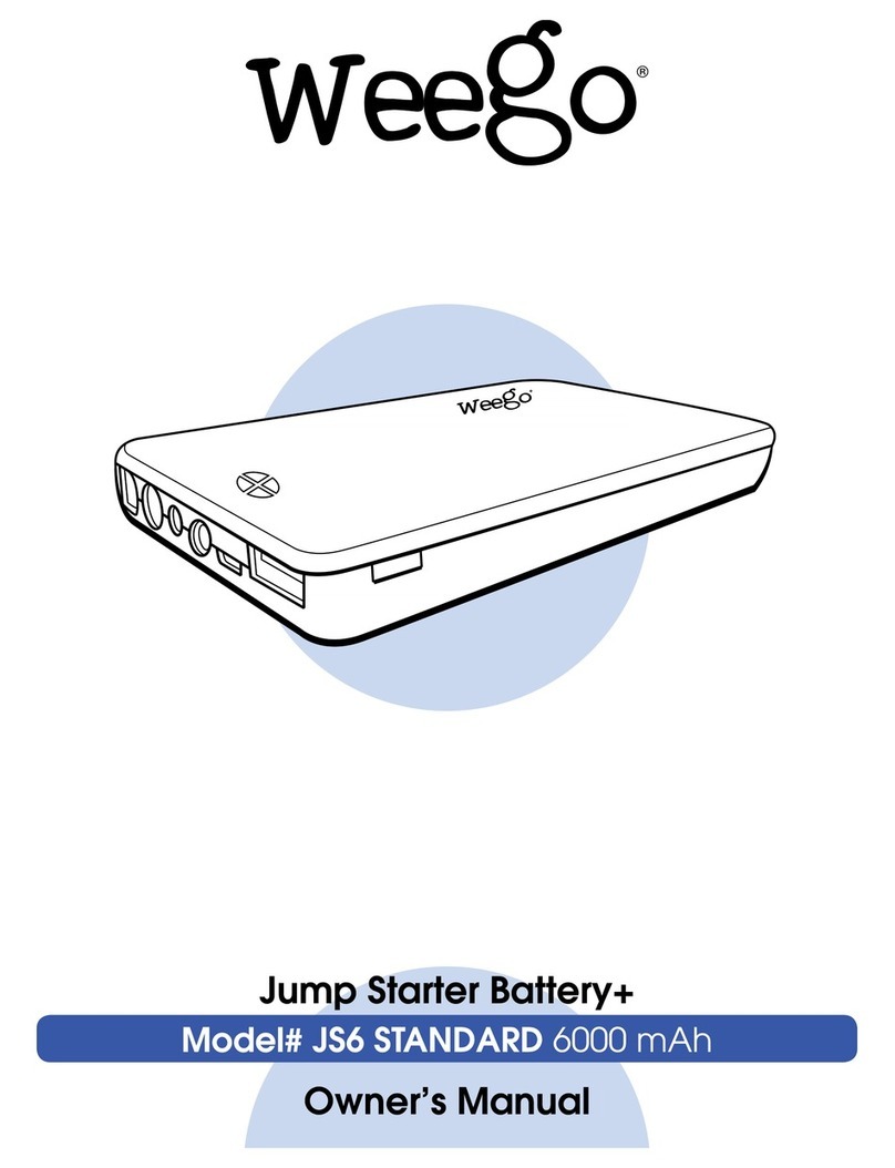 Weego JS6 Standart owner's manual