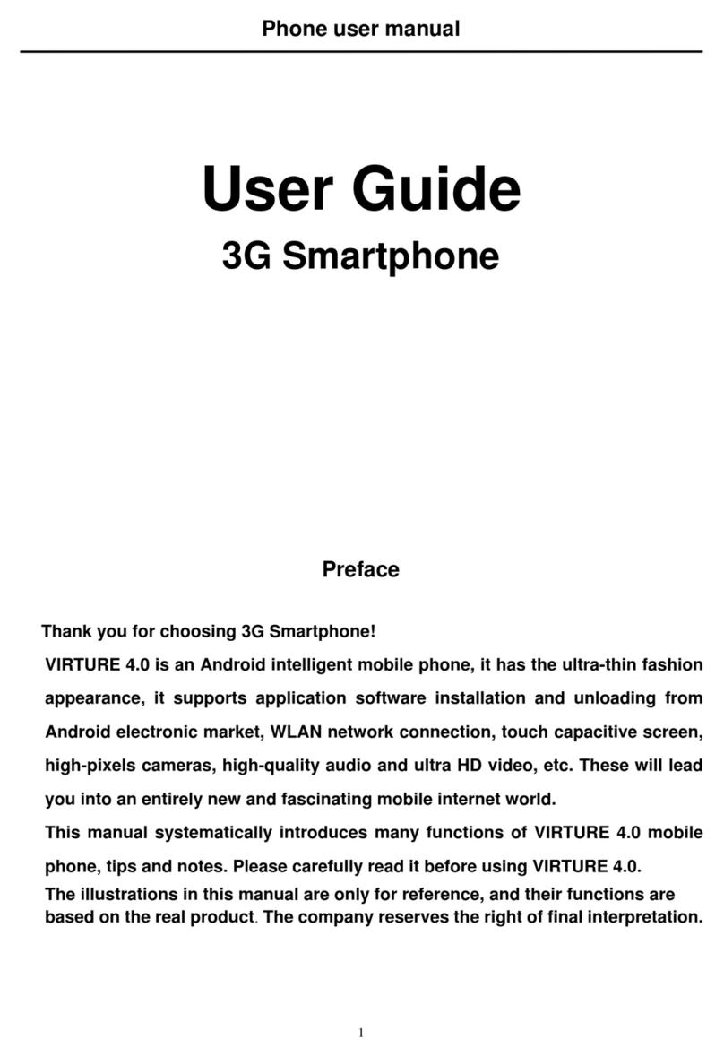 VIRTURE 4.0 user guide