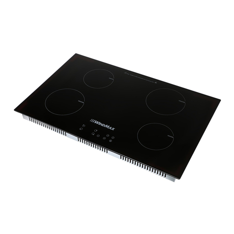 WINDMAX IF6601 User manual