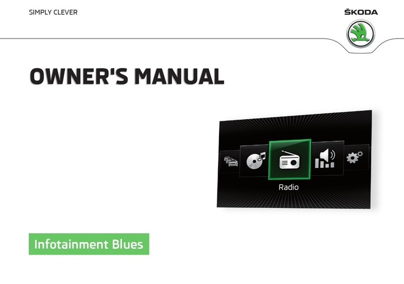 Skoda Infotainment Radio Blues owner's manual