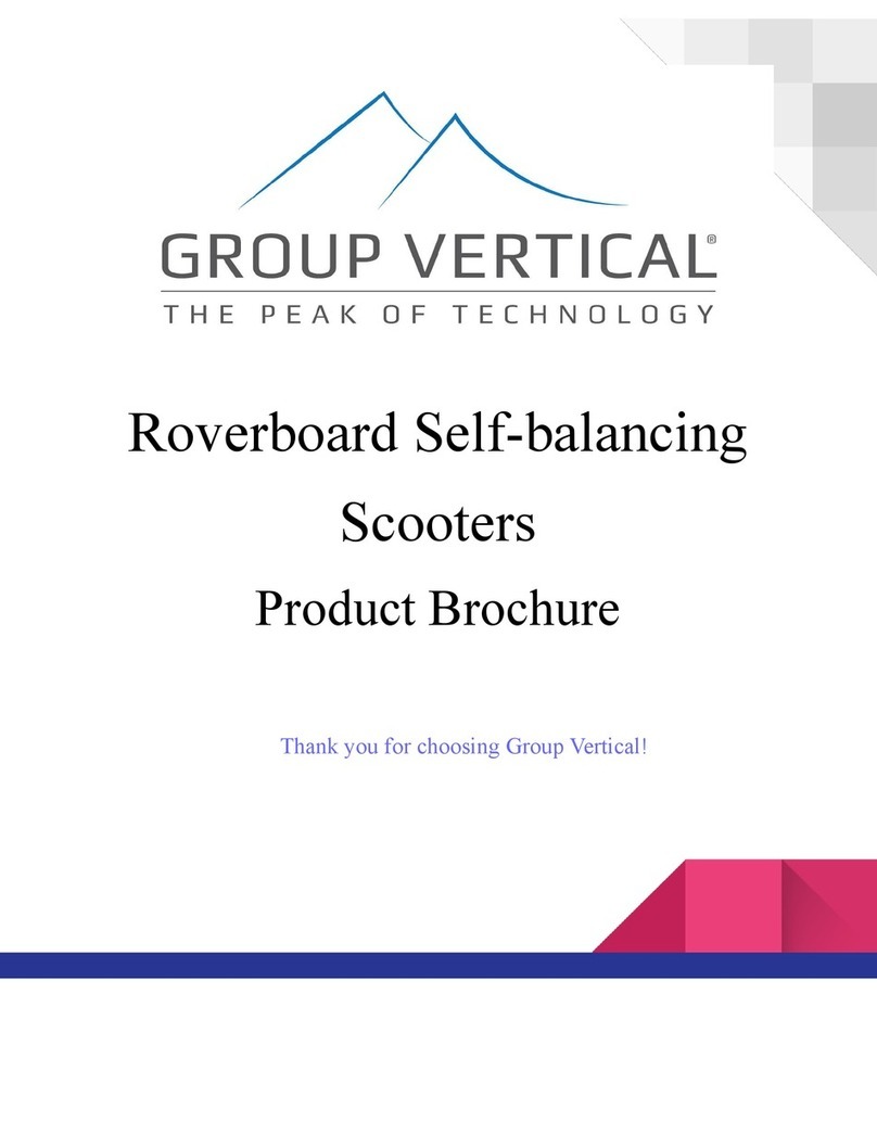 Group Vertical Self-Balancing Scooter user manual