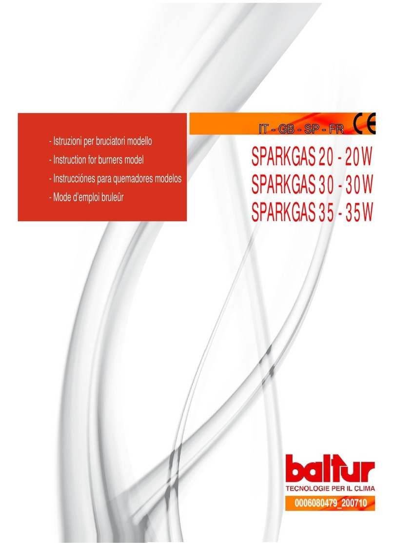 baltur SPARKGAS 20 - 20W User manual