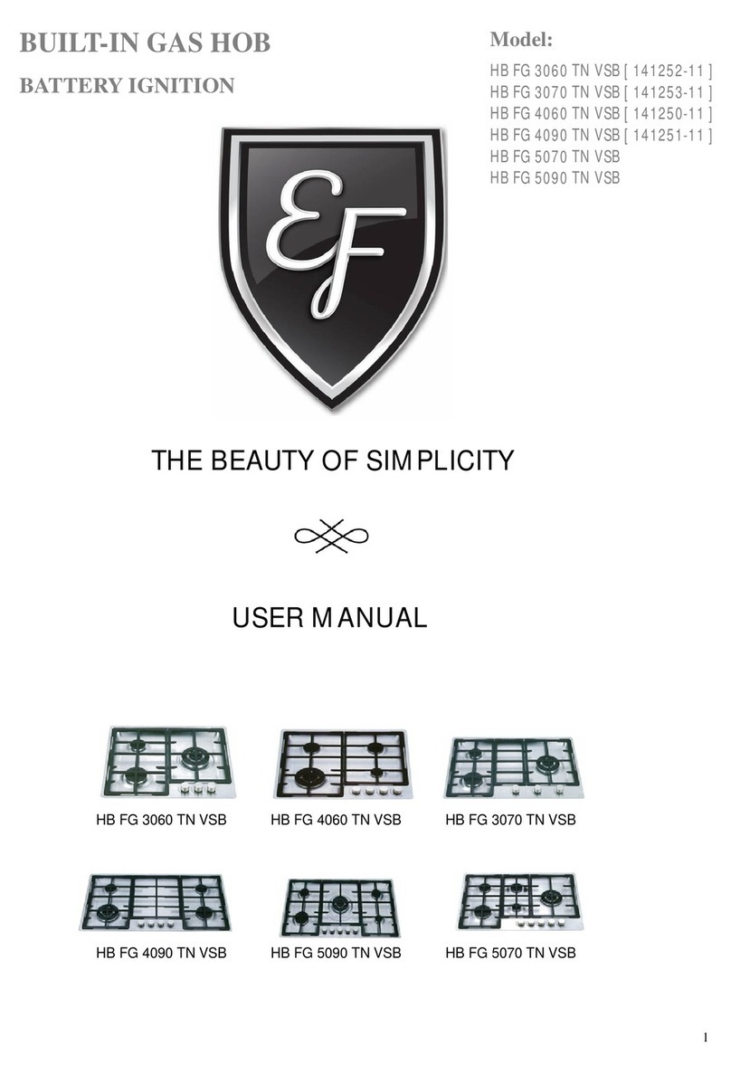 EF HB FG 3060 TN VSB user manual