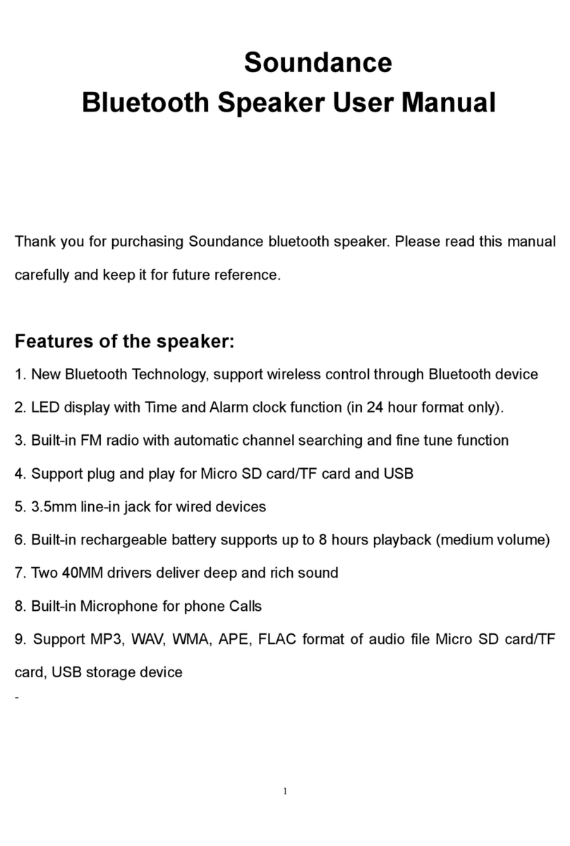 Soundance SDY019 User manual