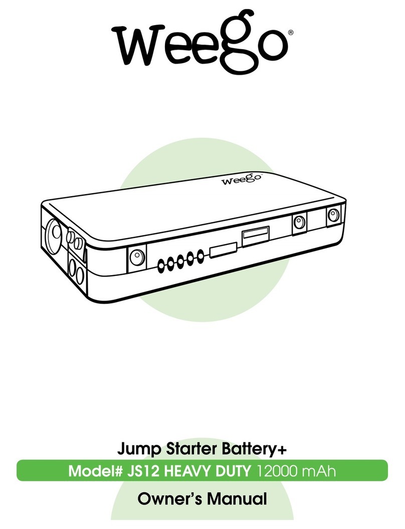 Weego JS12 owner's manual