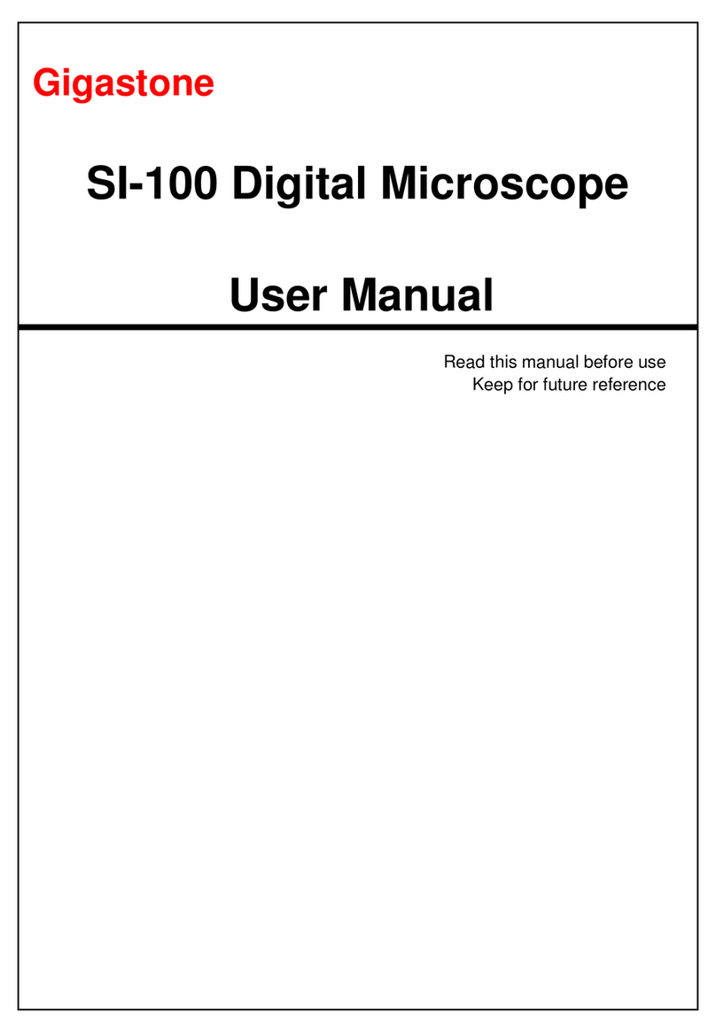 Gigastone SI-100 user manual