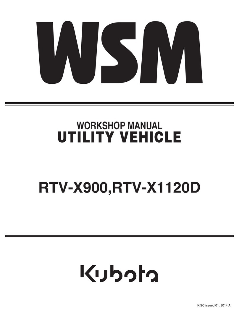 wsm RTV-X1120D Instruction manual