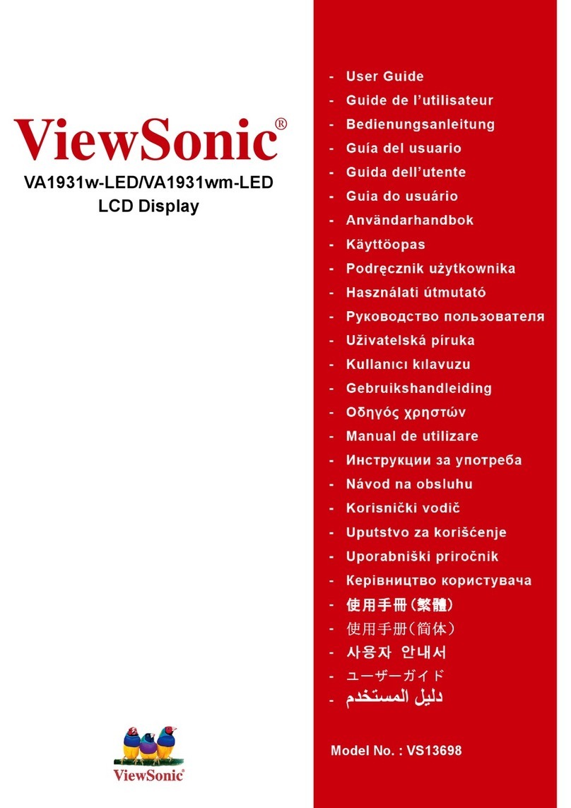 ViewSonic VA1931wm-LED User manual