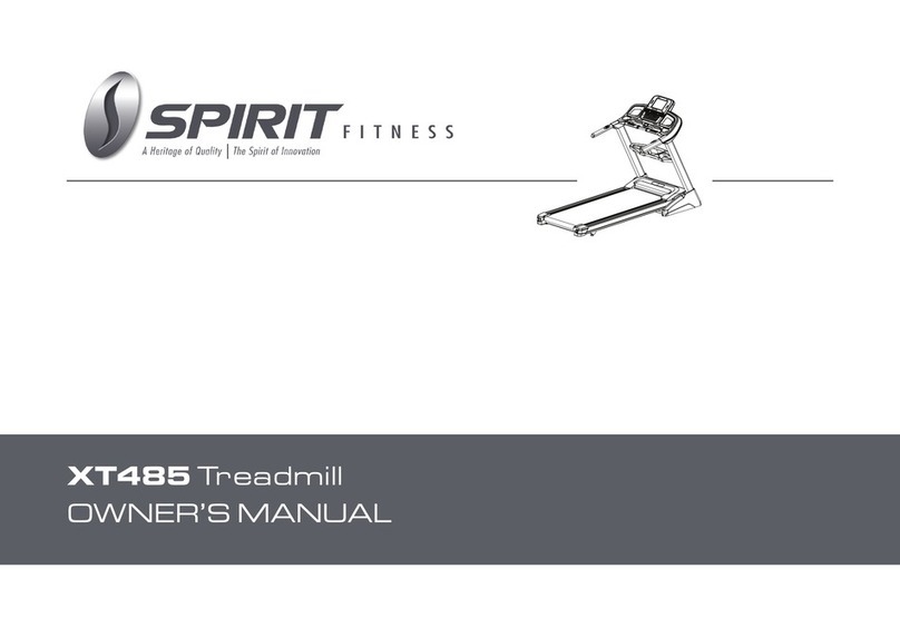 Spirit Fires xt485 owner's manual