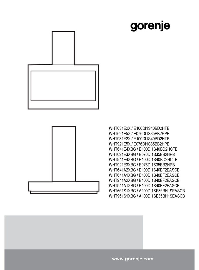 Gorenje WHT631E2X / E100DI1S40BD2HTB manual