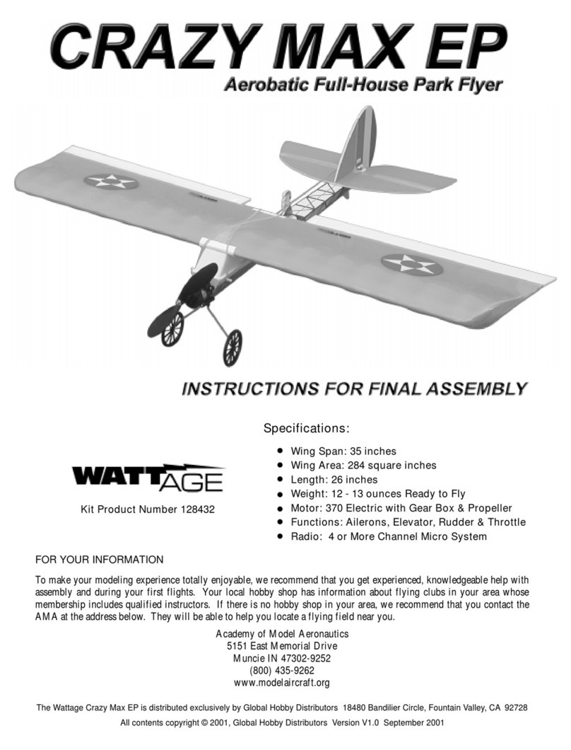 WATT AGE Crazy MAX EP Instructions for final assembly