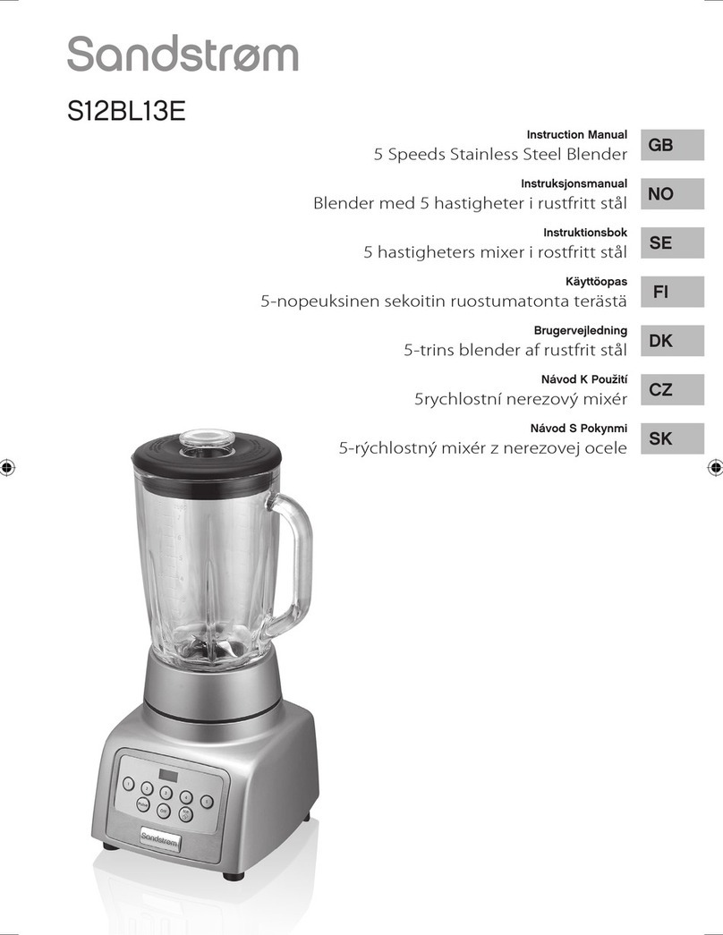 Sandstrom S12BL13E instruction manual
