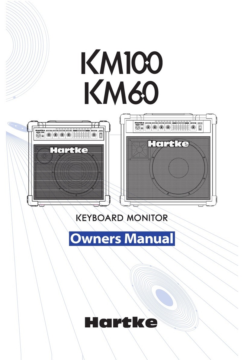 Hartke KM100 owner's manual