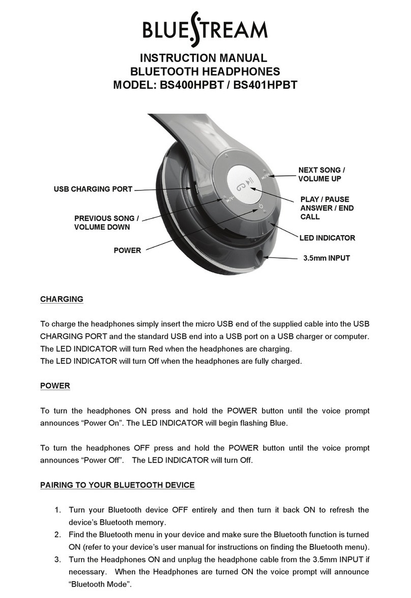 Bluestream BS400HPBT User manual