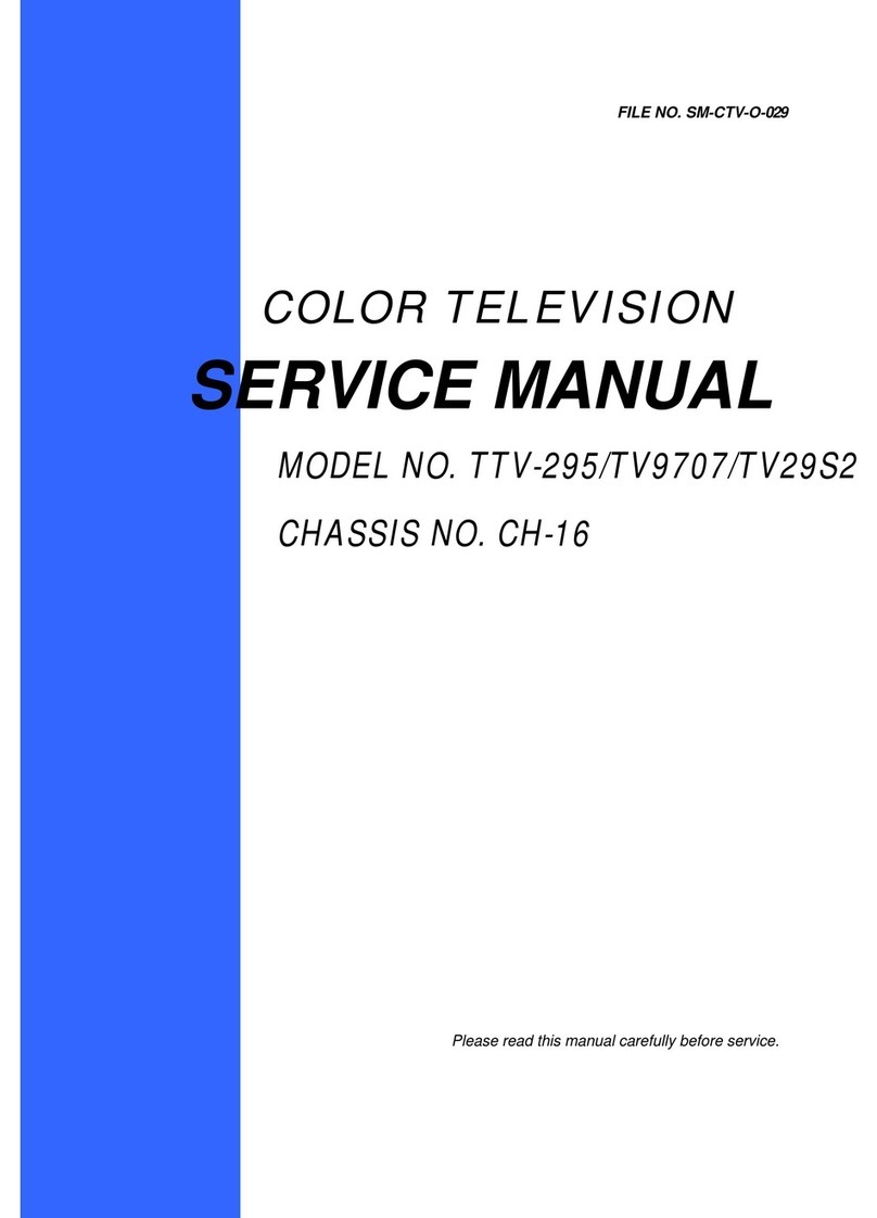 Fbt TTV-295 Service manual