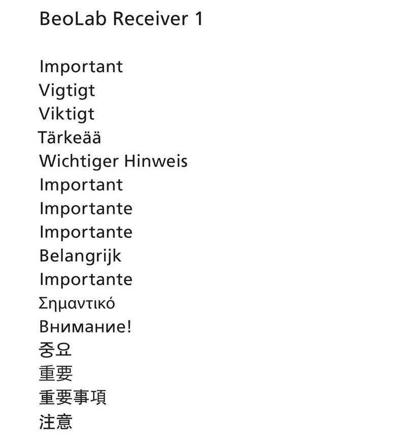 Bang & Olufsen BeoLab 1 Important notes