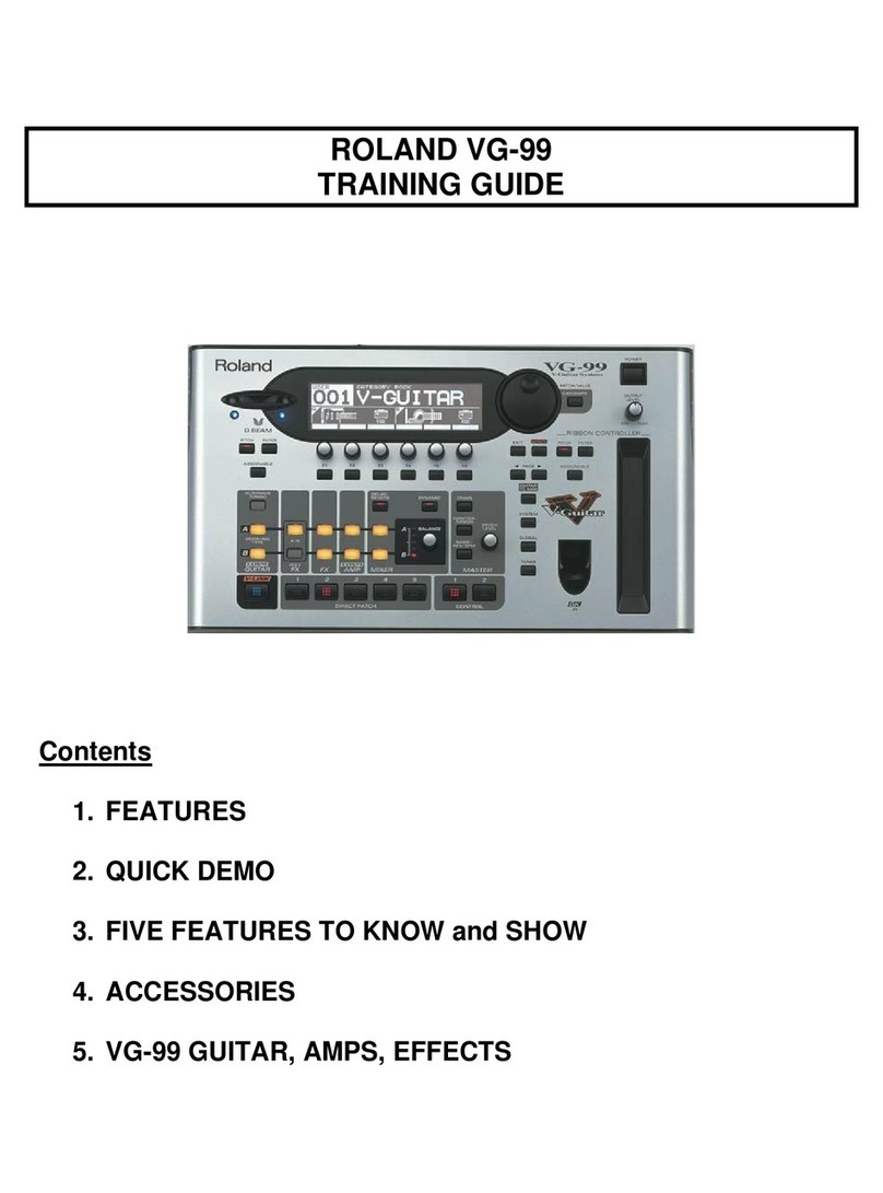 Roland V-Guitar System VG-99 Setup guide