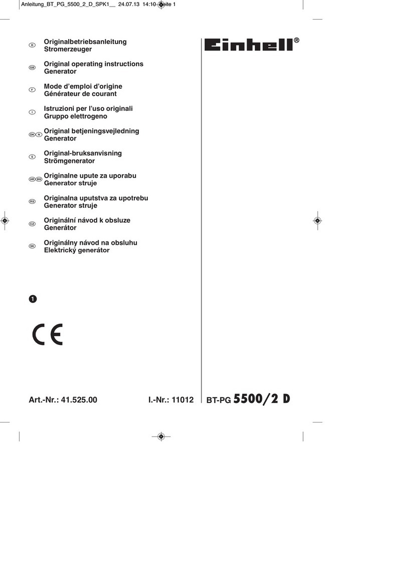 EINHELL BT-PG 5500/2 D User manual EINHELL BT-PG 5500/2 D User manual