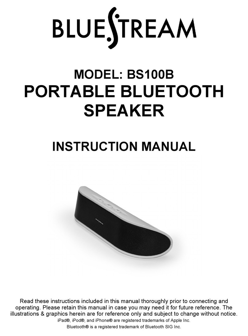Bluestream BS100B instruction manual