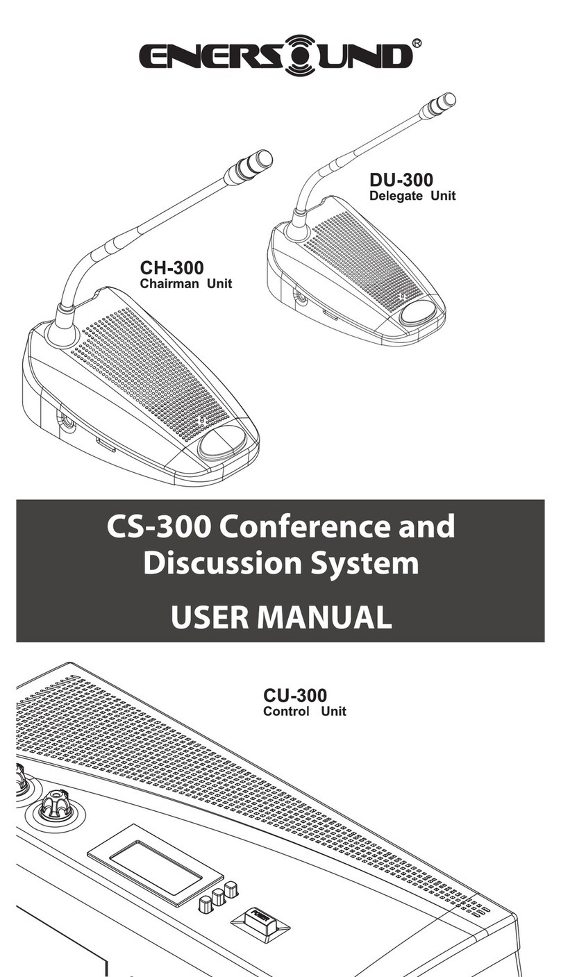 Enersound CH-300 user manual